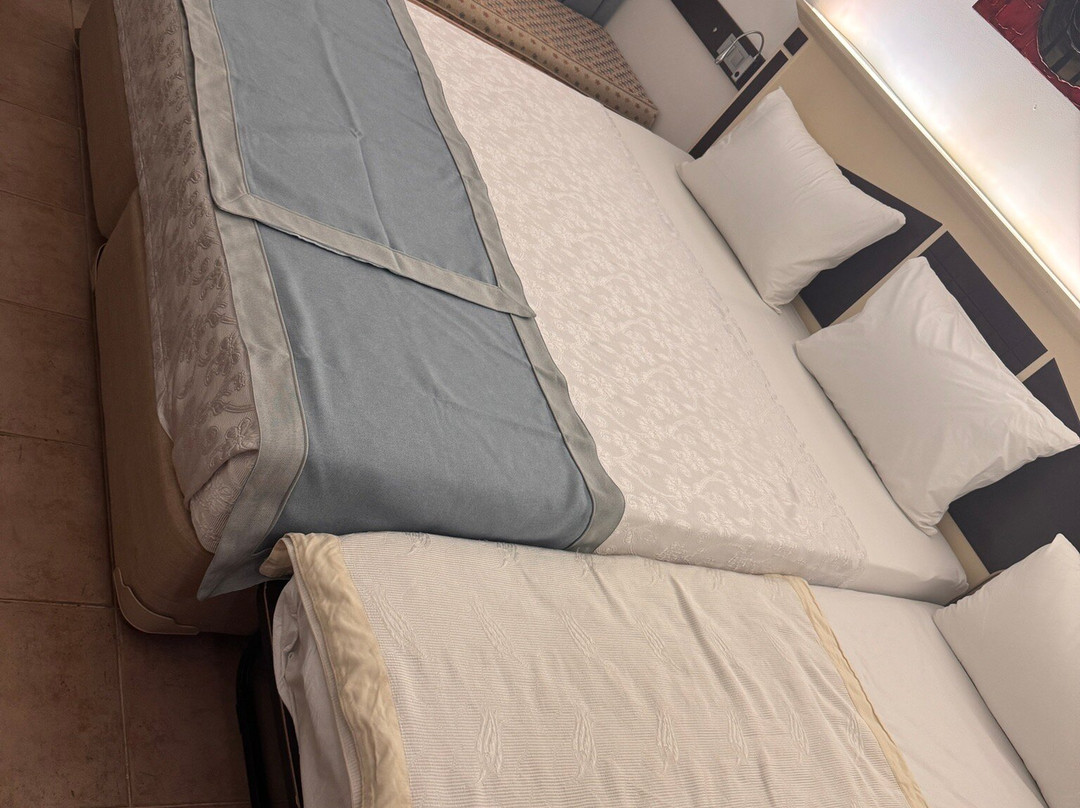 Telmessos Neva Hotel主图