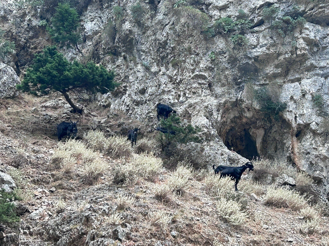 Imbros Gorge-克里特岛必去景点