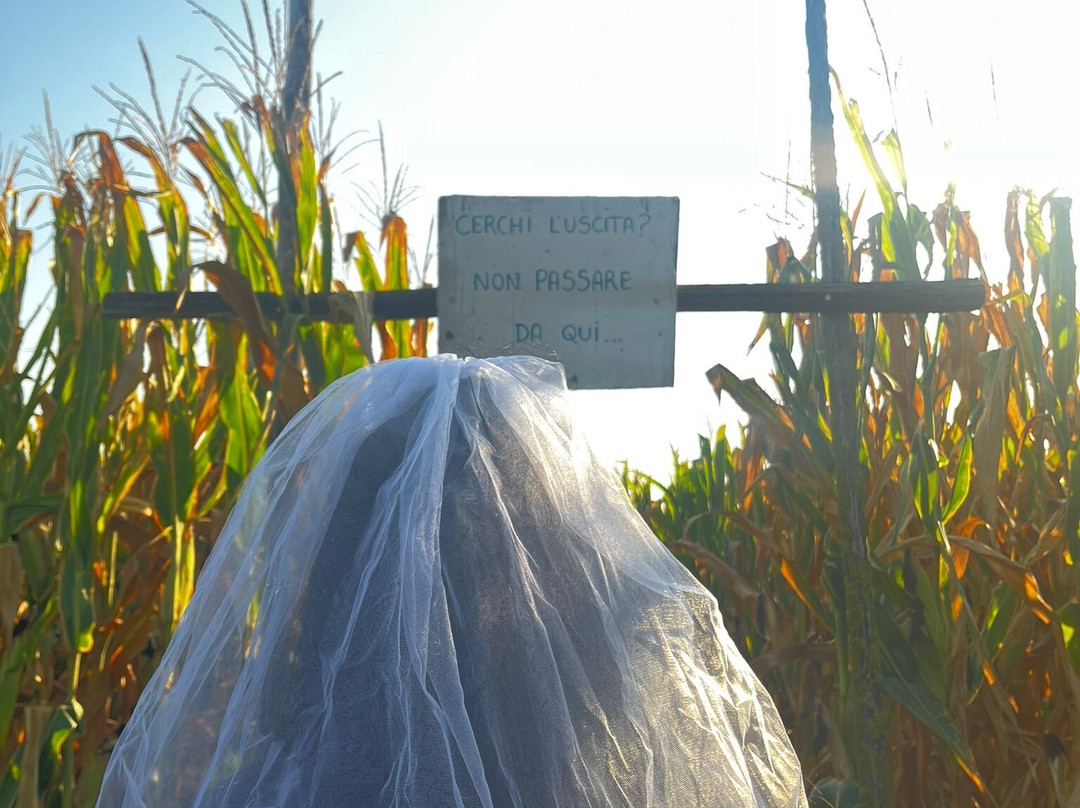 Parco Avventura Fregene-Fregene必去景点