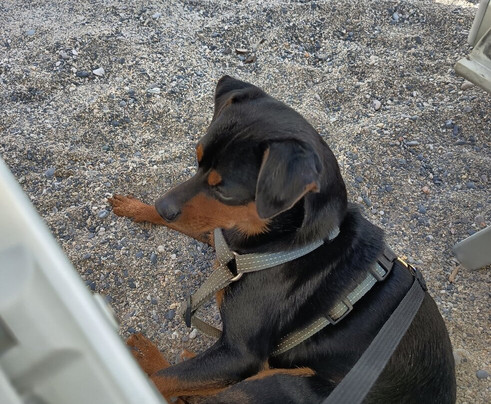 Pluto Beach-斯波托尔诺必去景点