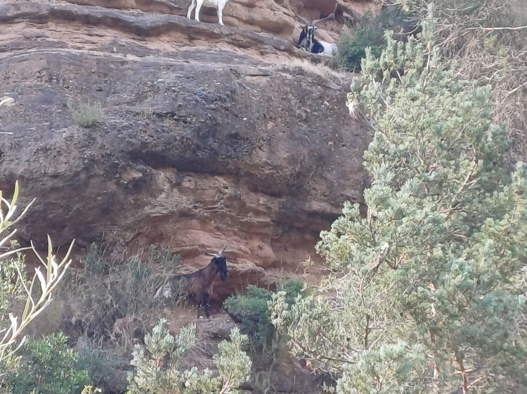 Avalancha-韦斯卡省必去景点