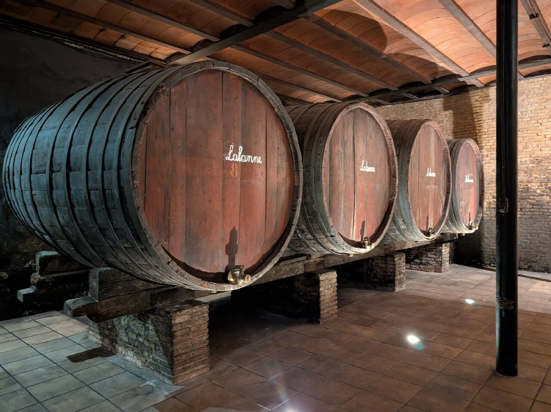 Bodegas Lalanne-Barbastro必去景点