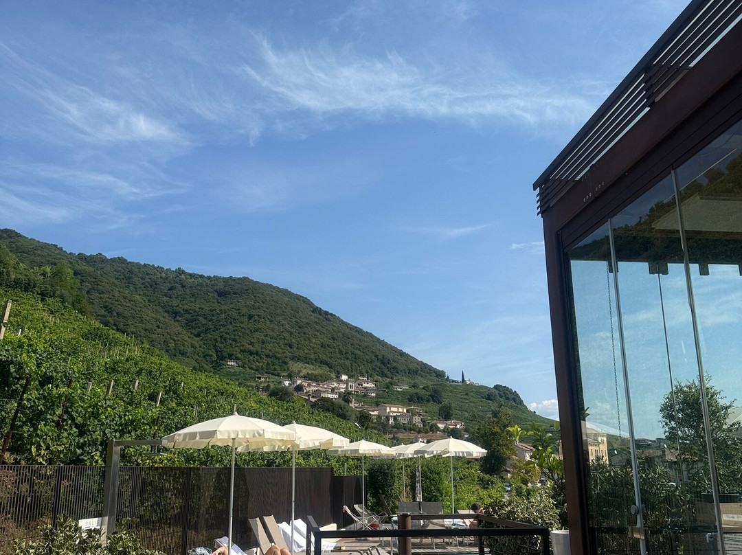 Agriturismo Due Carpini主图