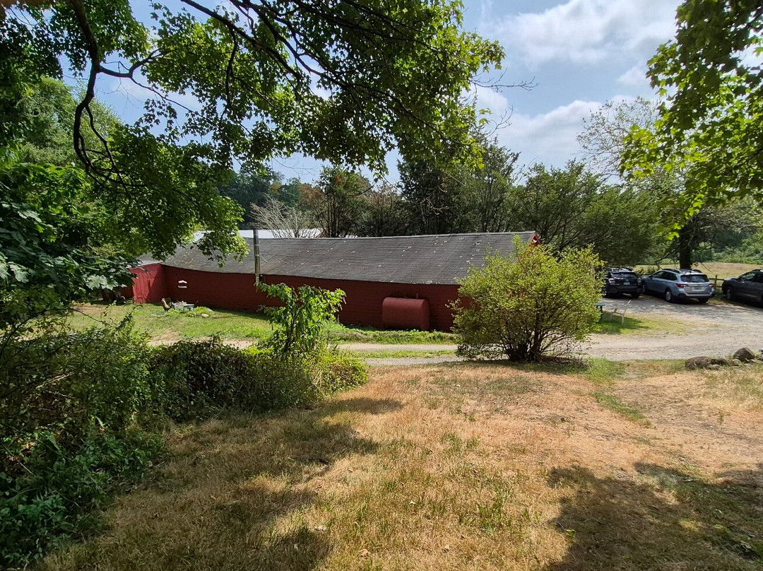 Whitlock's Book Barn-Bethany必去景点