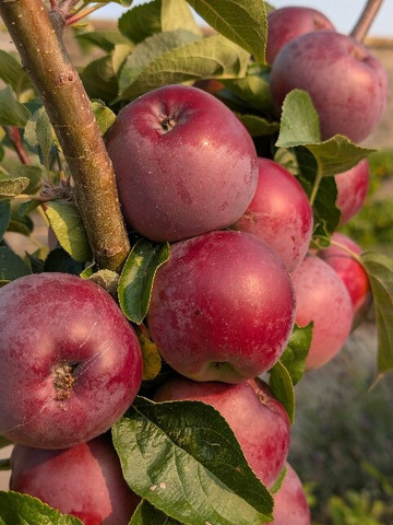 GOOD: Stories in Food-布里斯托尔必去景点