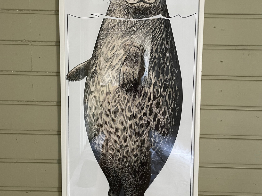 Hotelli Punkaharju主图