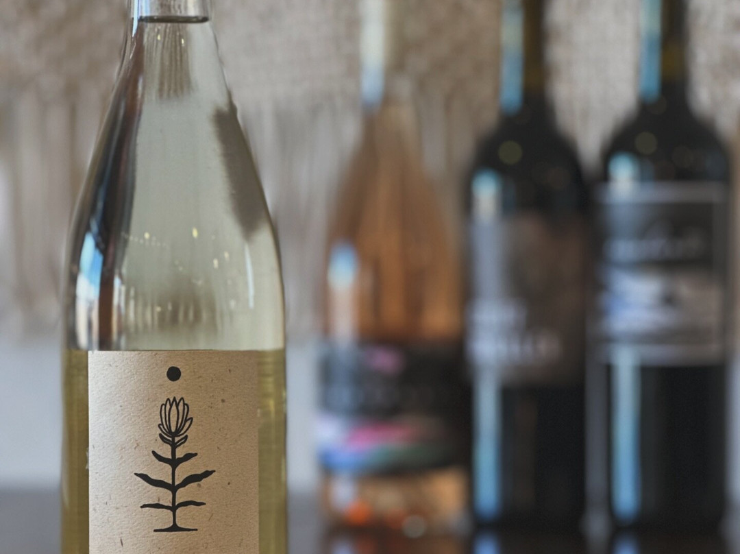 Cliff Dweller Wine Co.-Palisade必去景点