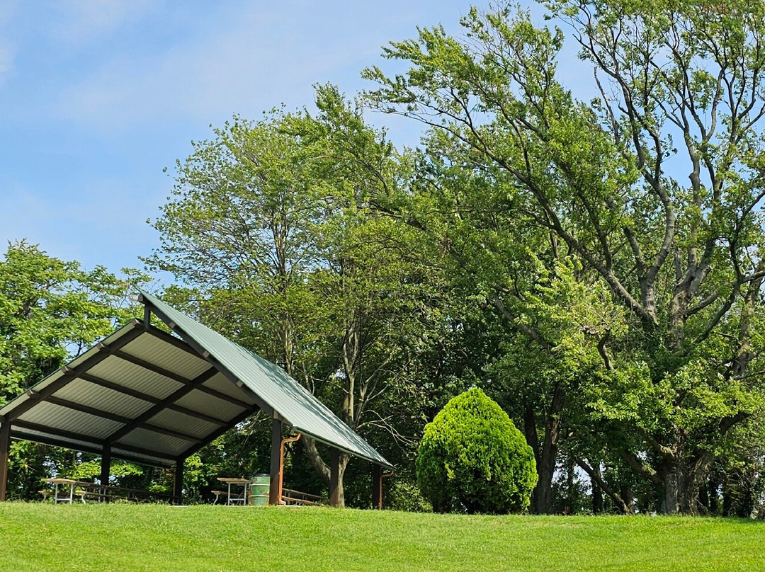 Rocky Point Beach and Park-Essex必去景点