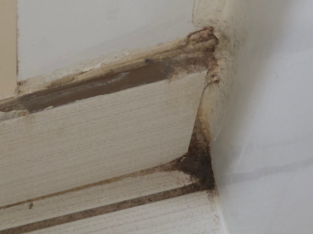 Comfort Inn Belleville主图