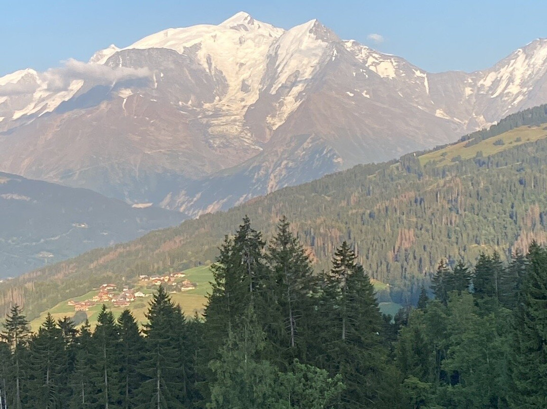 Chalet Alpen Valley Mont Blanc主图