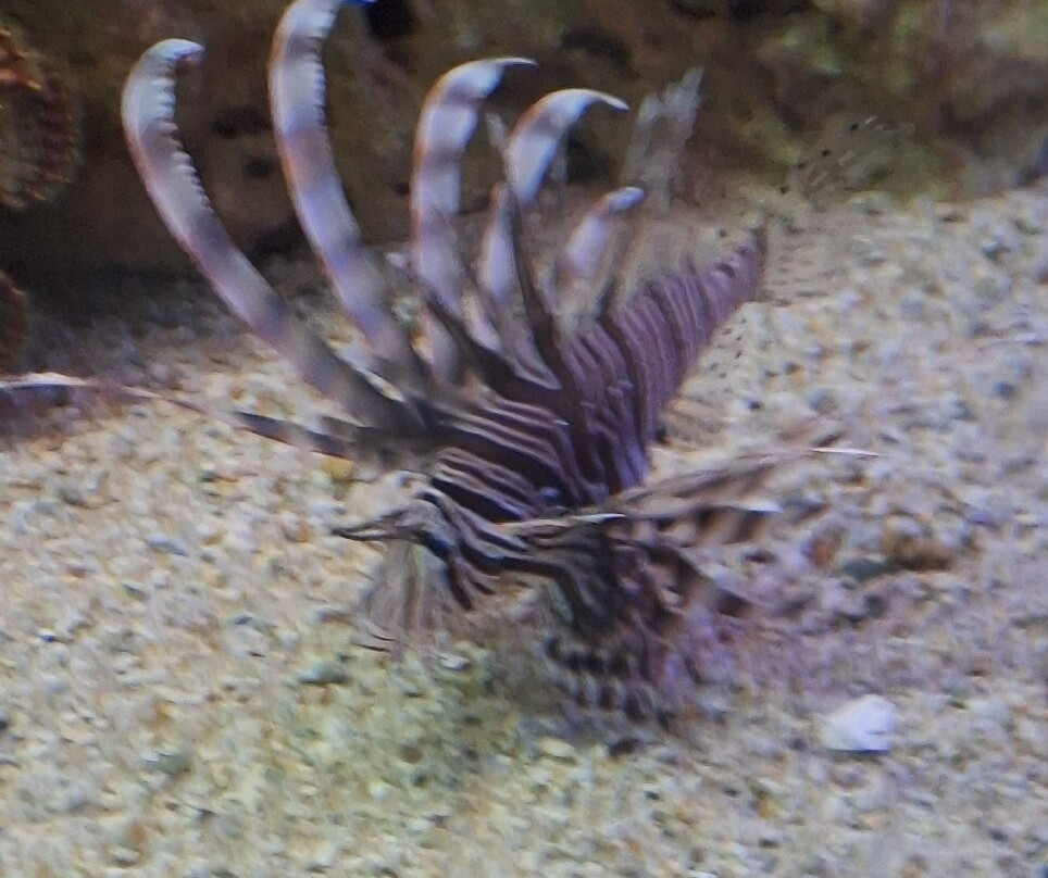 Acuario Mundo Marino-圣玛尔塔必去景点