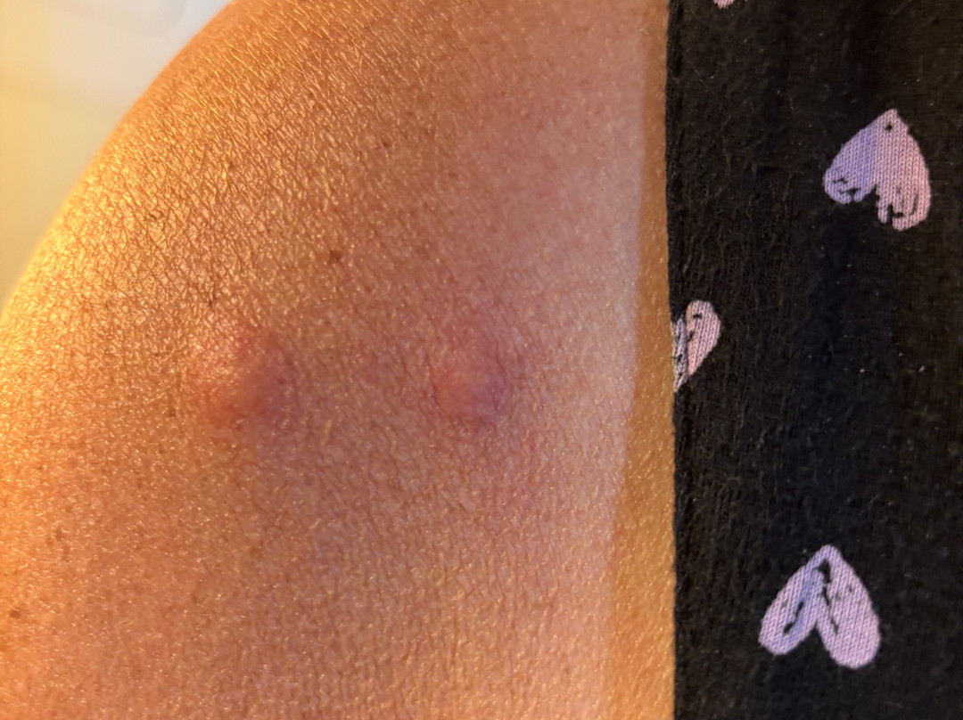 Quality Inn & Conference Centre主图