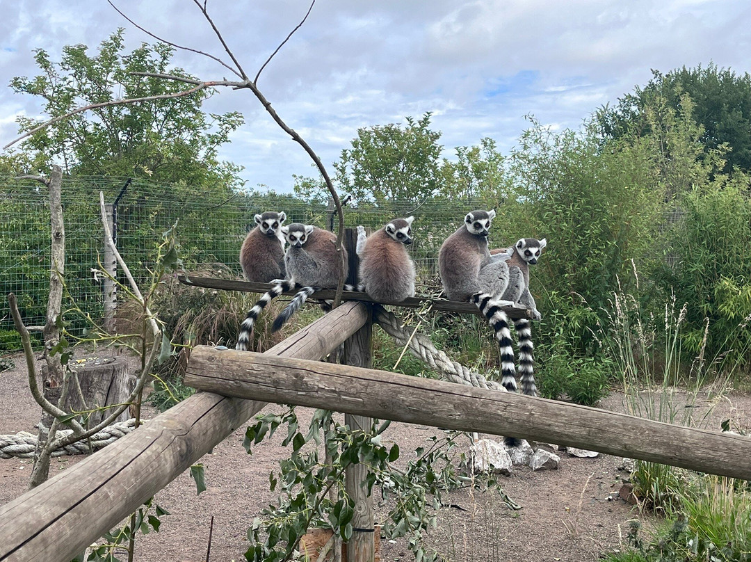 Fife Zoo-库珀必去景点