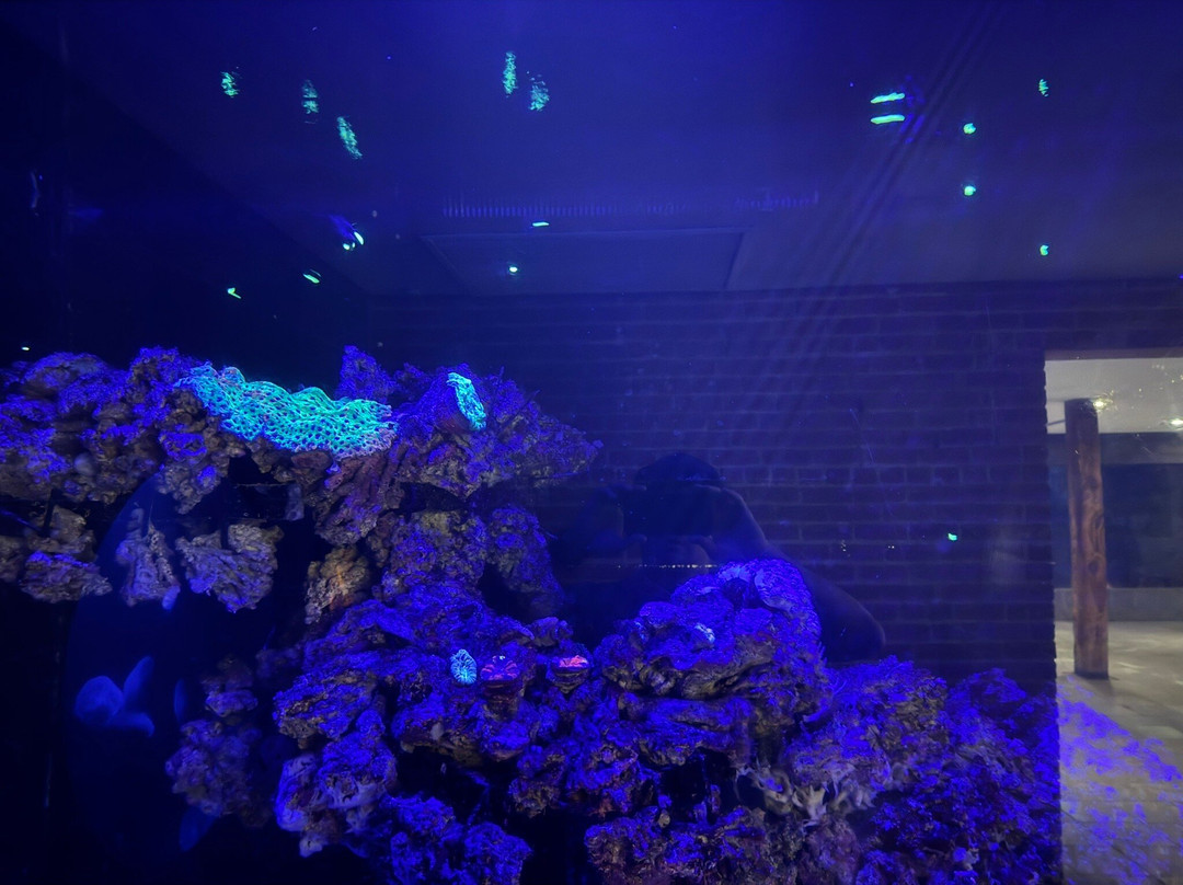 达拉斯世界水族馆-达拉斯必去景点