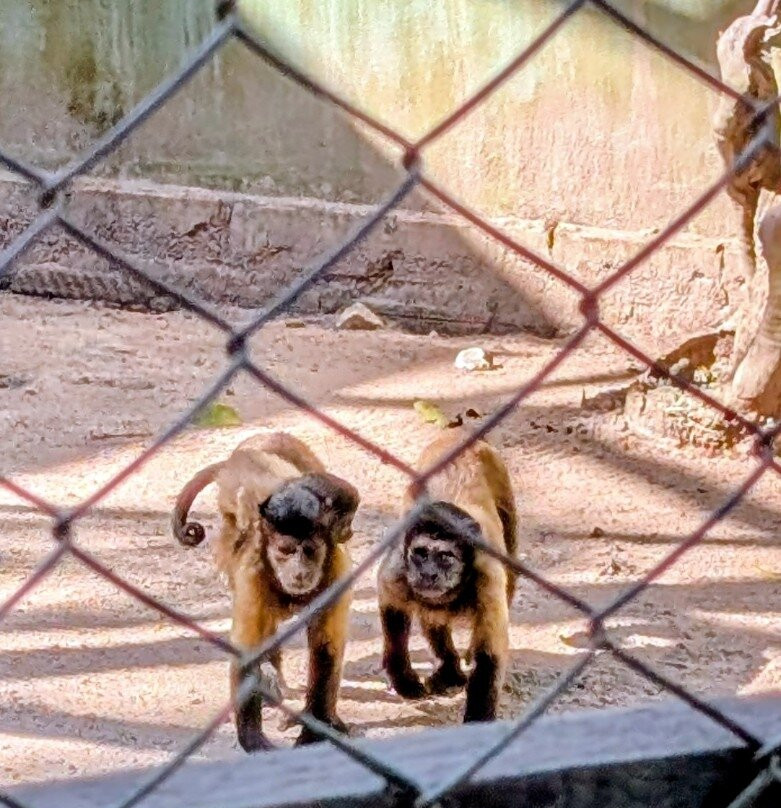 ZooFIT - Zoologico de Santarem-Santarem必去景点