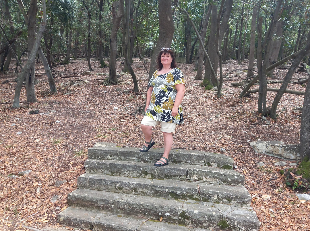 Brijuni National Park-Brijuni必去景点