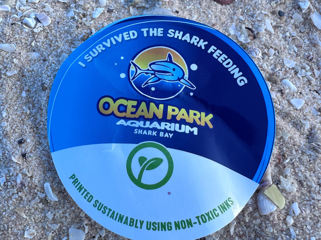 Ocean Park Aquarium-德纳姆必去景点