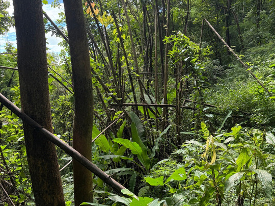 Lanna Trek-清莱必去景点