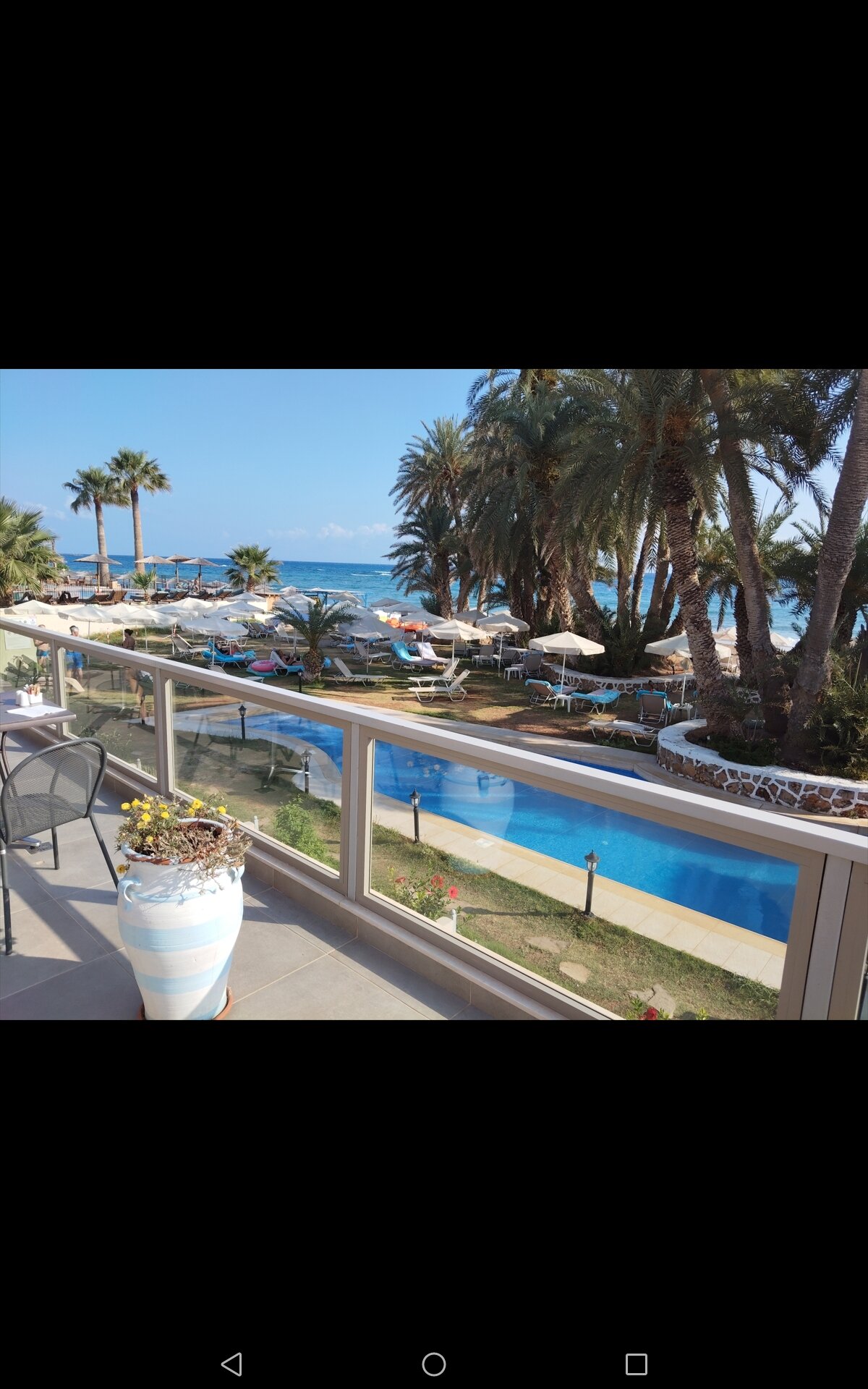 Palm Beach Hotel-官方