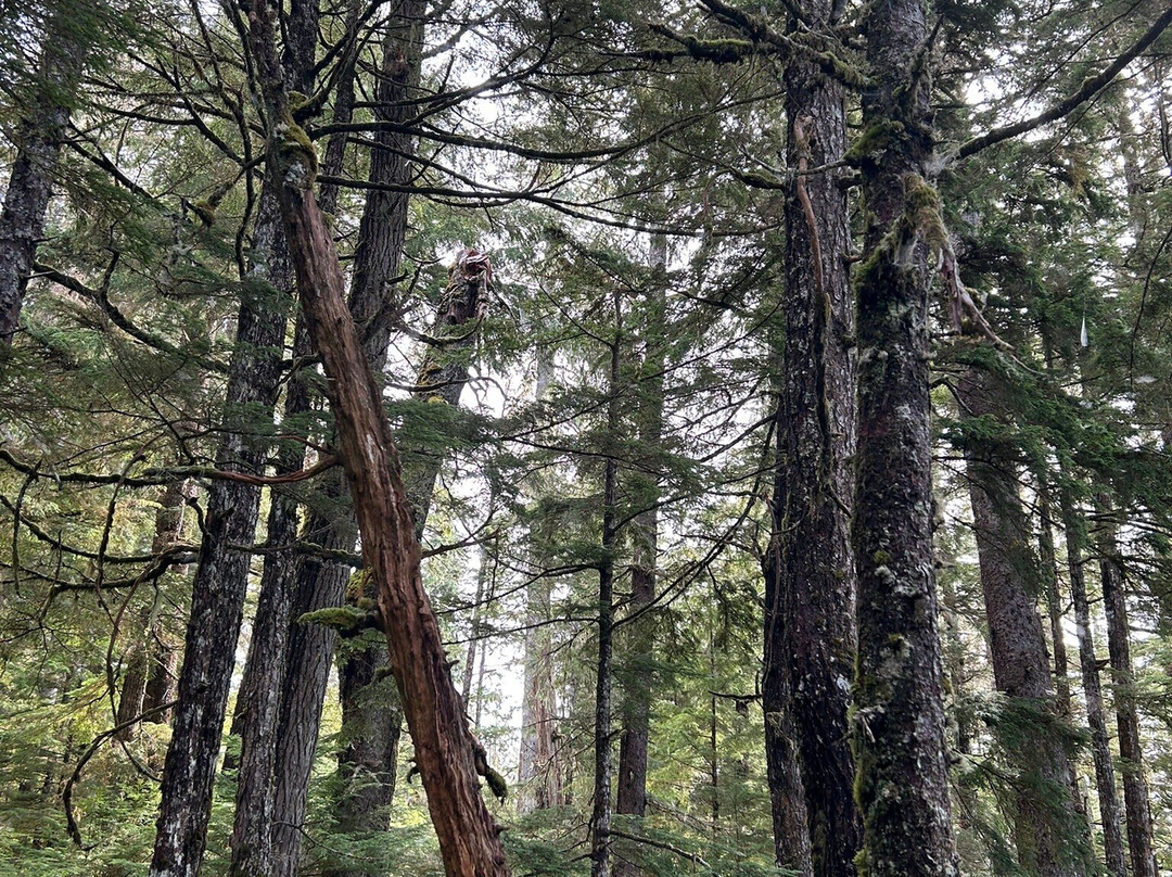 Alaska Travel Adventures-凯奇坎必去景点