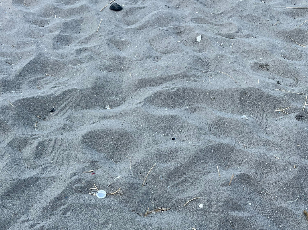 Pachia Ammos Beach-Pachia Ammos必去景点