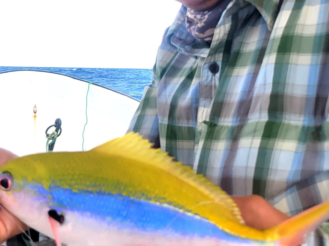 Enjoy Kizimkazi with Mr. Happy-Kizimkazi必去景点