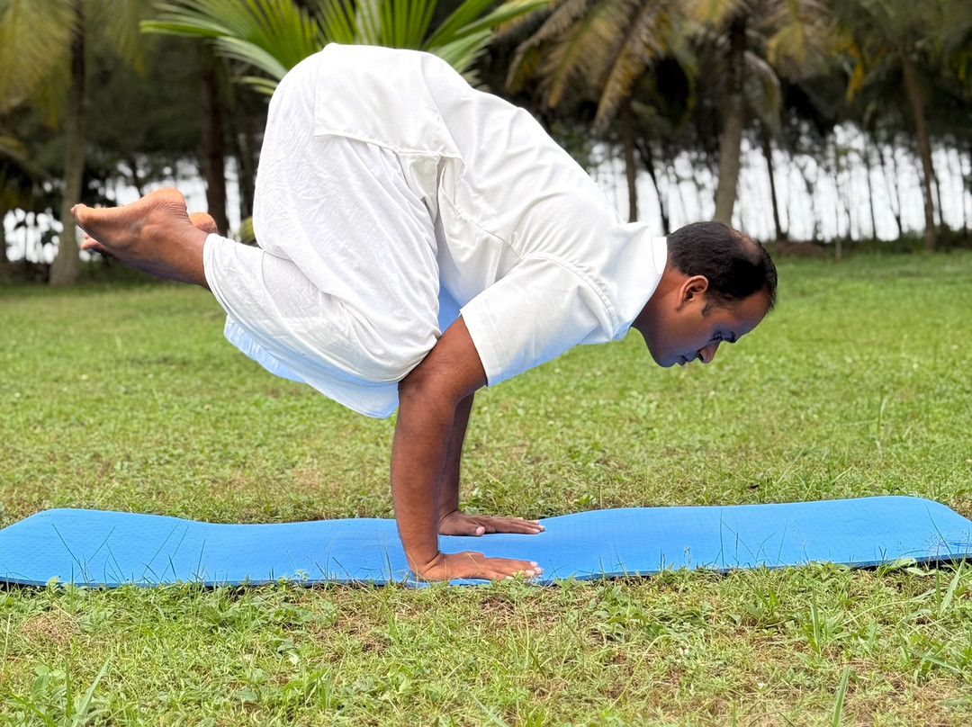 Marari Yogashala & Kalarippayattu center-Kattoor必去景点