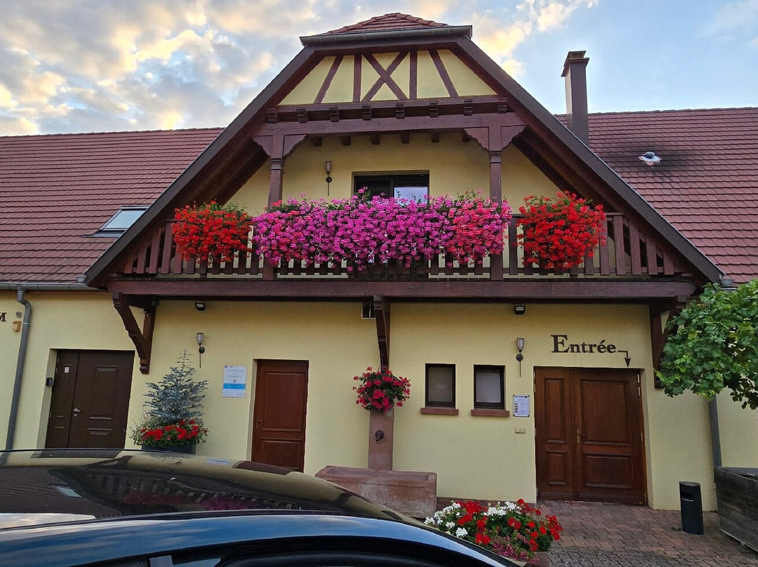 Domaine Pierre Adam-阿梅尔斯克维必去景点