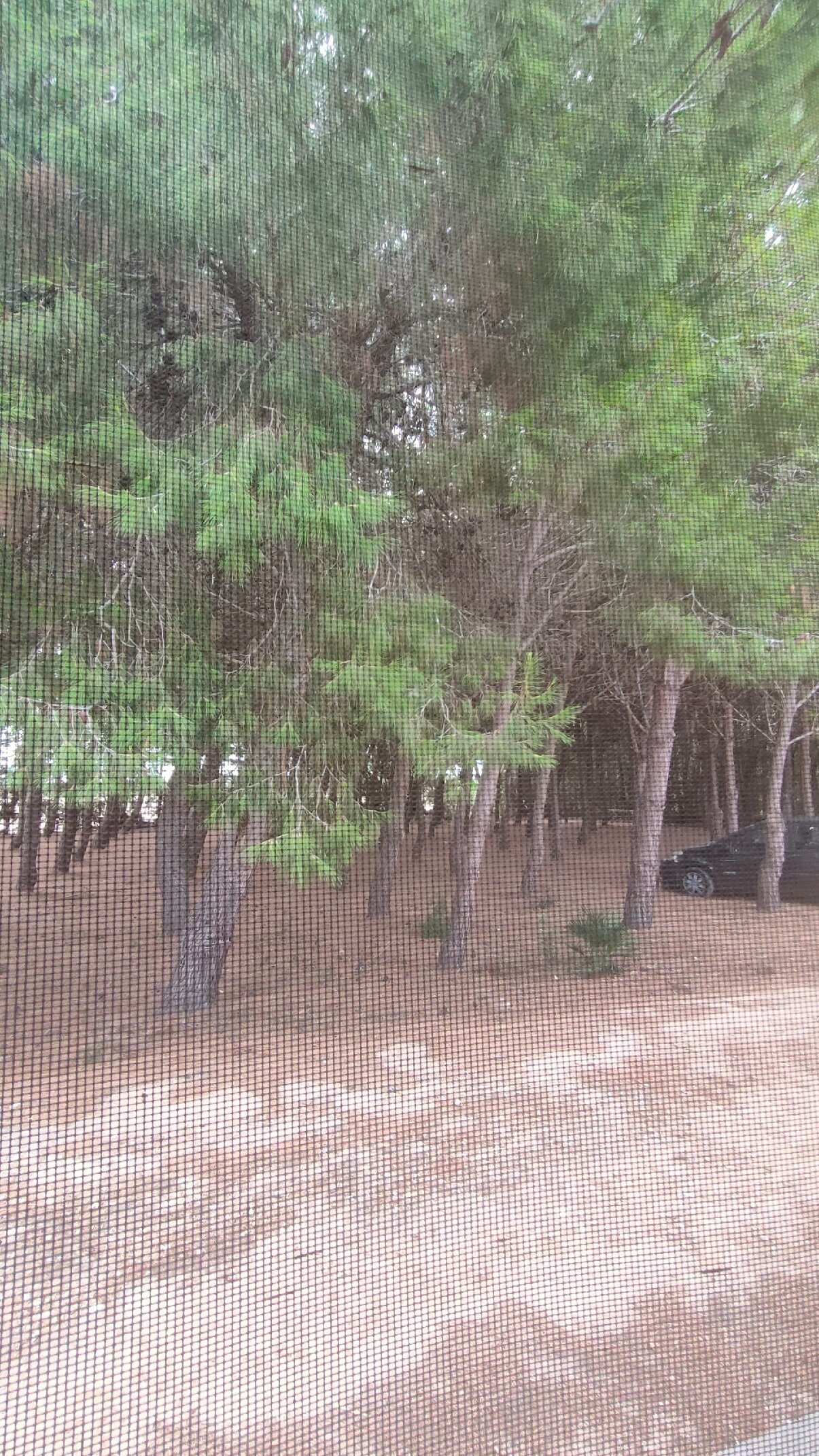 Agriturismo Villa Gaia-官方