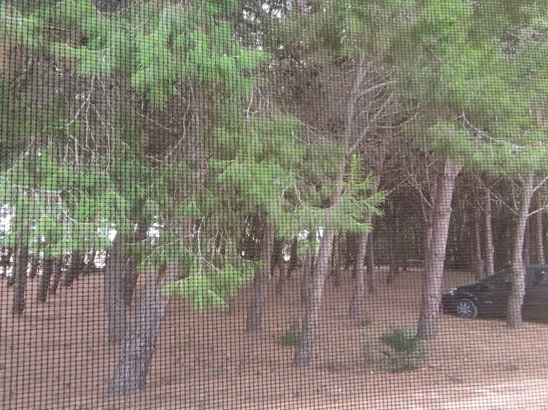 Agriturismo Villa Gaia主图