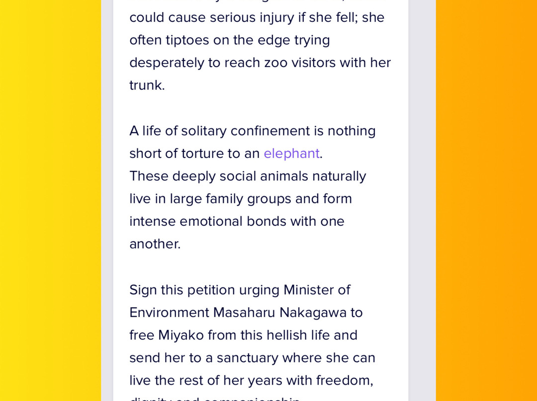 Utsunomiya Zoo-宇都宫市必去景点