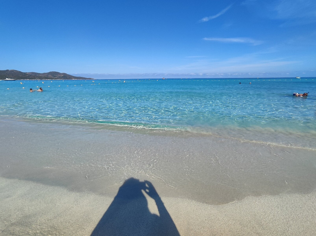 Plage de Saleccia-Santo-Pietro-di-Tenda必去景点