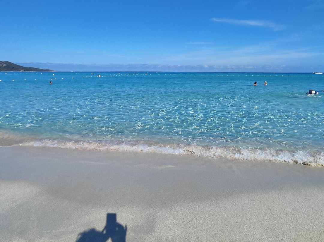 Plage de Saleccia-Santo-Pietro-di-Tenda必去景点