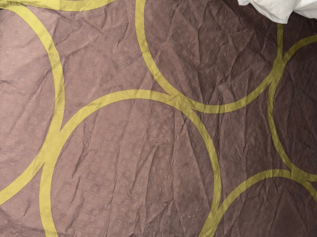 Super 8 by Wyndham Tappahannock VA主图