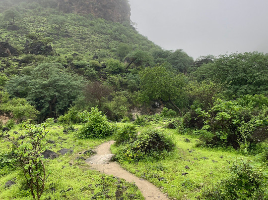 Arabian Wanderers-塞拉莱必去景点