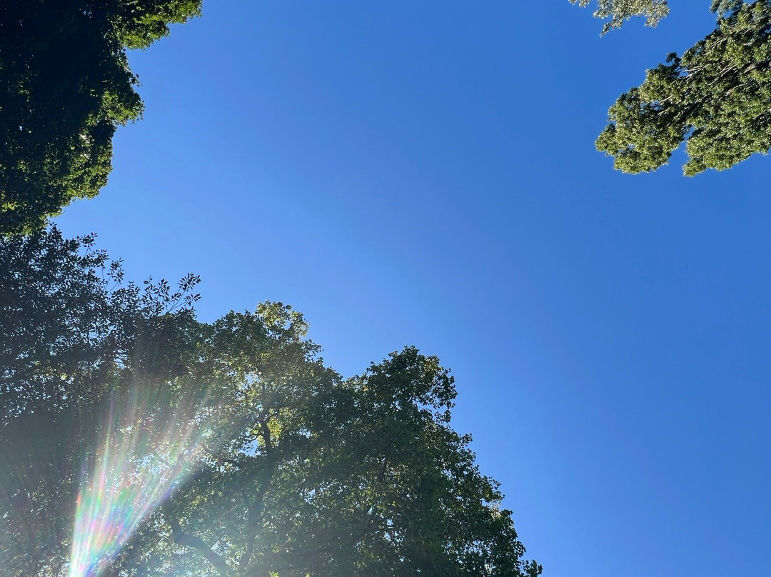 Ashram de Yoga Sivananda主图