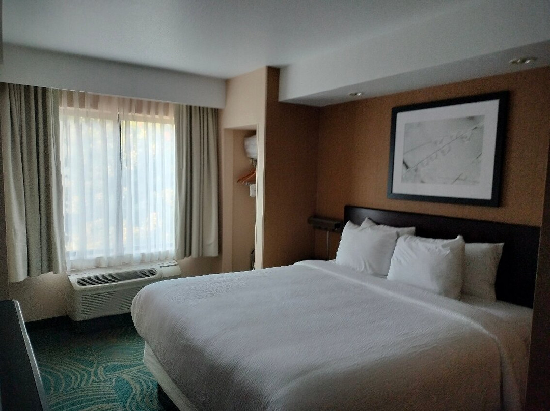 SpringHill Suites by Marriott Modesto主图