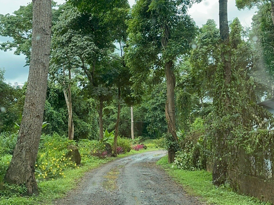 Dray Sap Falls-托伯莫里必去景点