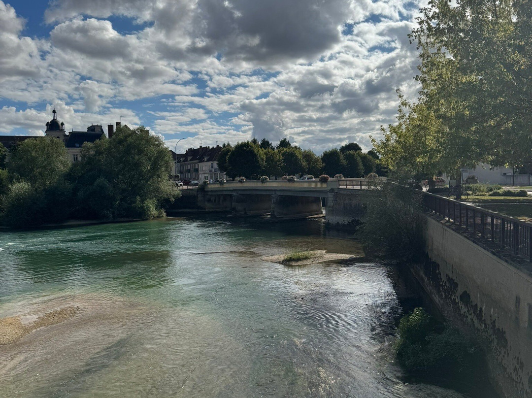 Plage D'arcis Sur Aube-Arcis sur Aube必去景点