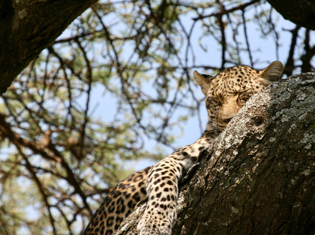 Mamnana Adventures-Olasiti必去景点