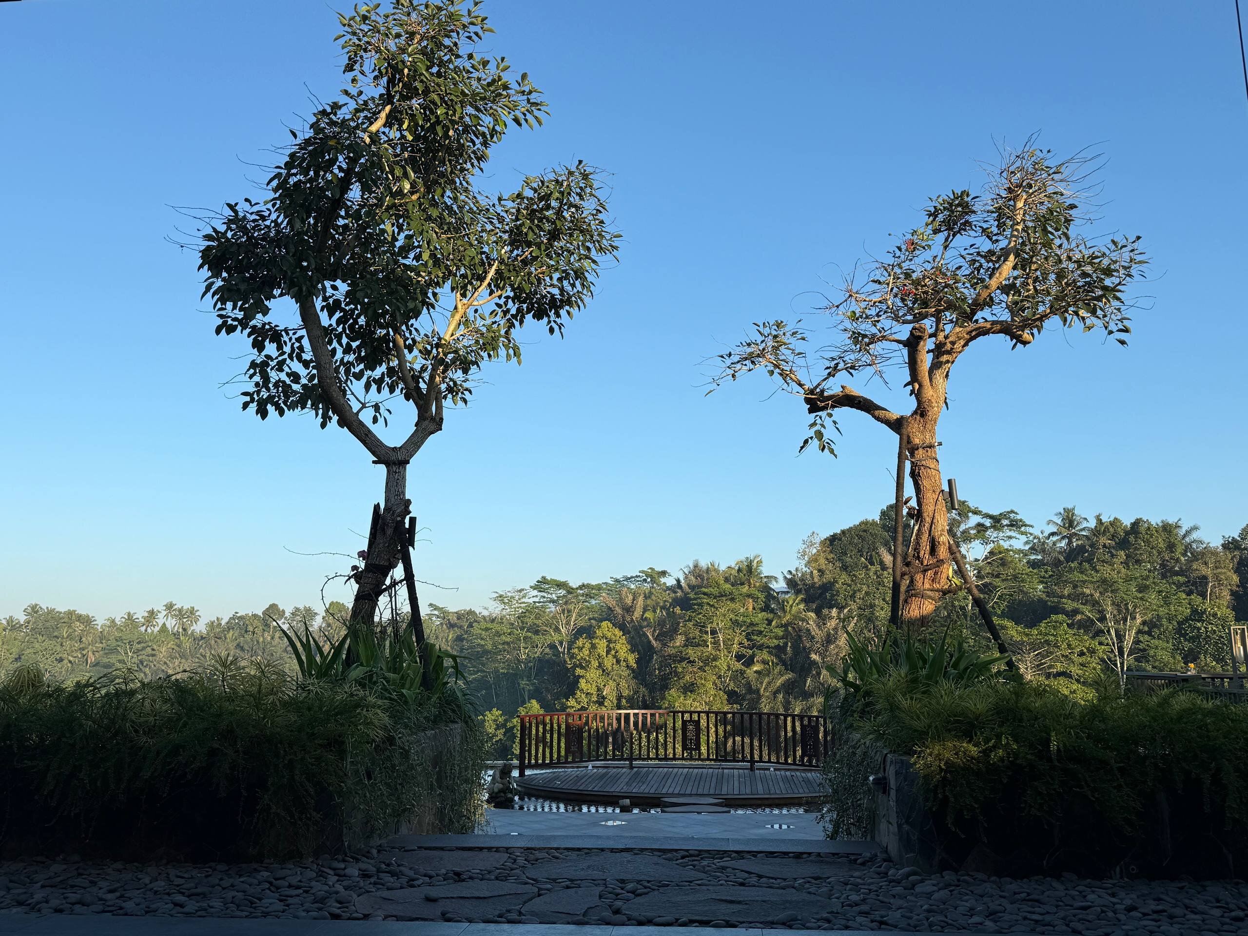 Cicada Resort Bali Ubud, Autograph Collection-浴室