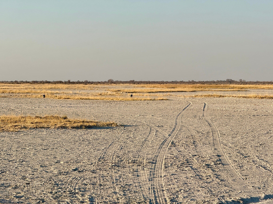 Makgadikgadi Salt Pan-Makgadikgadi Pans National Park必去景点