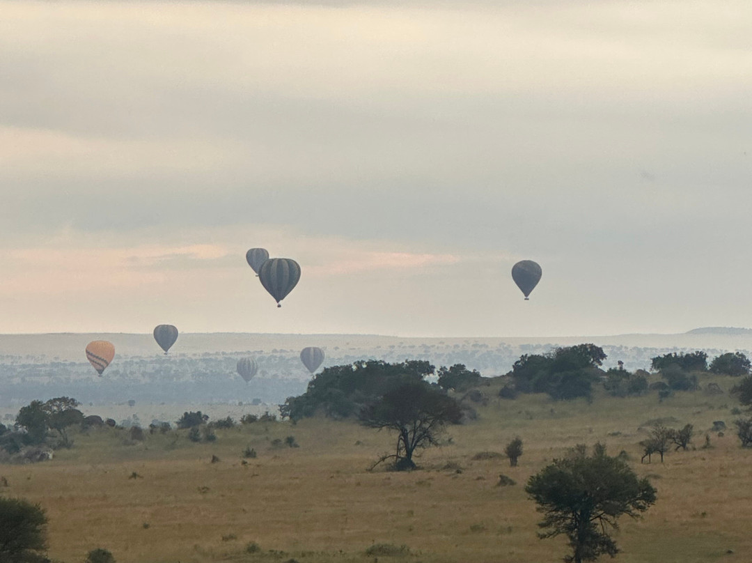 LULU AFRICAN SAFARIS LTD.-阿鲁沙必去景点