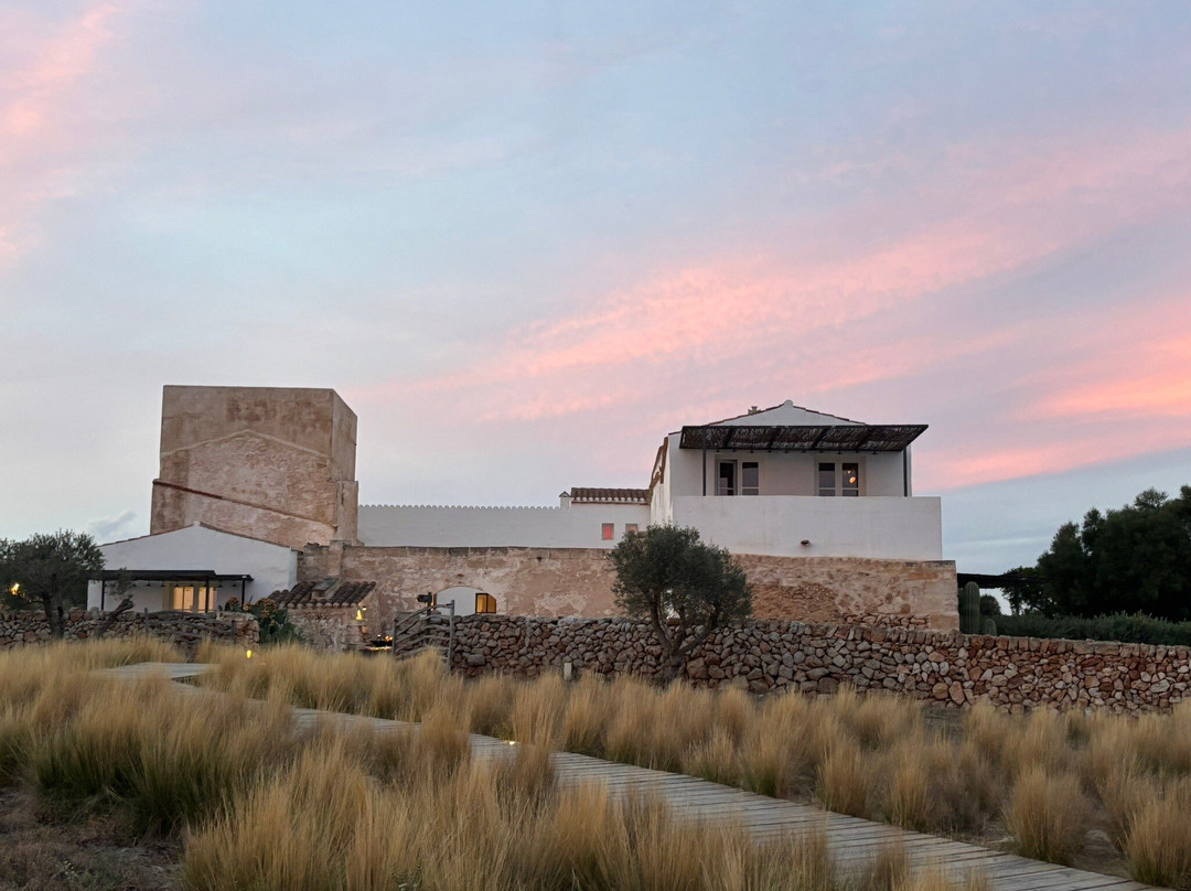 Siempreviva - Fontenille Menorca