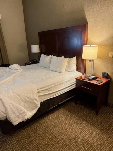 Comfort Inn Mechanicsburg - Harrisburg South主图