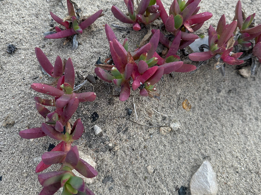 Margaret River Mountain Bike Tours-玛格丽特河必去景点