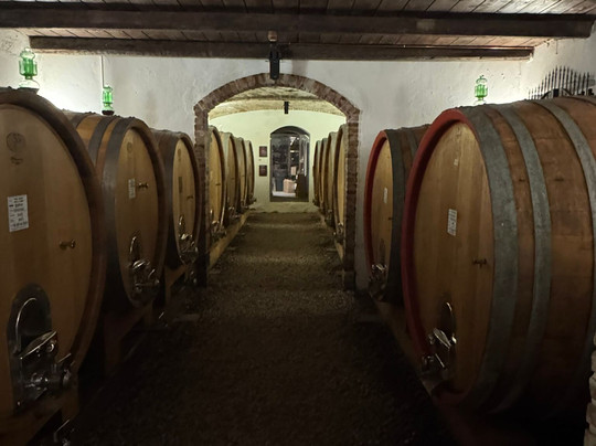 Diwine Tour-阿尔巴必去景点