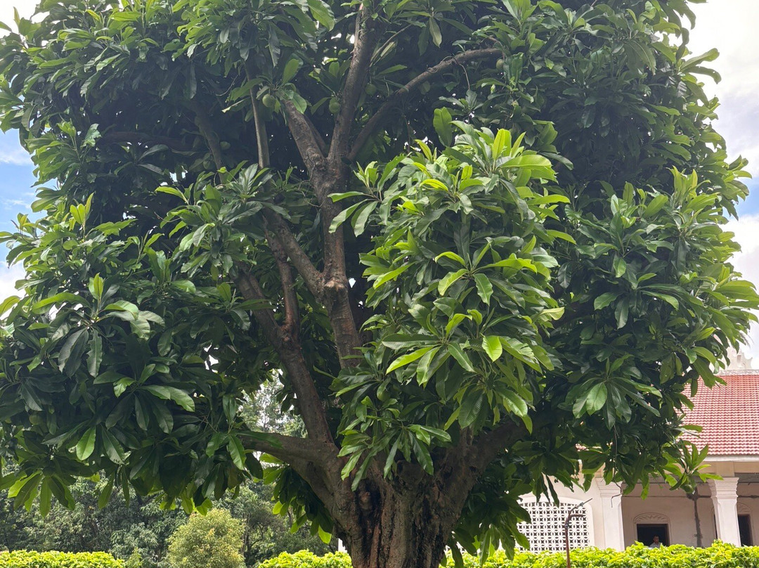 Yogoda Satsanga Dhyana Mandir-兰契必去景点