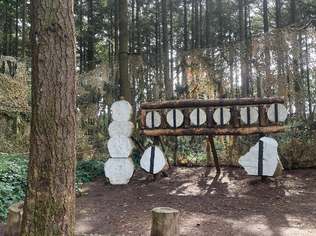 Footsteps of Discovery-纽奎必去景点