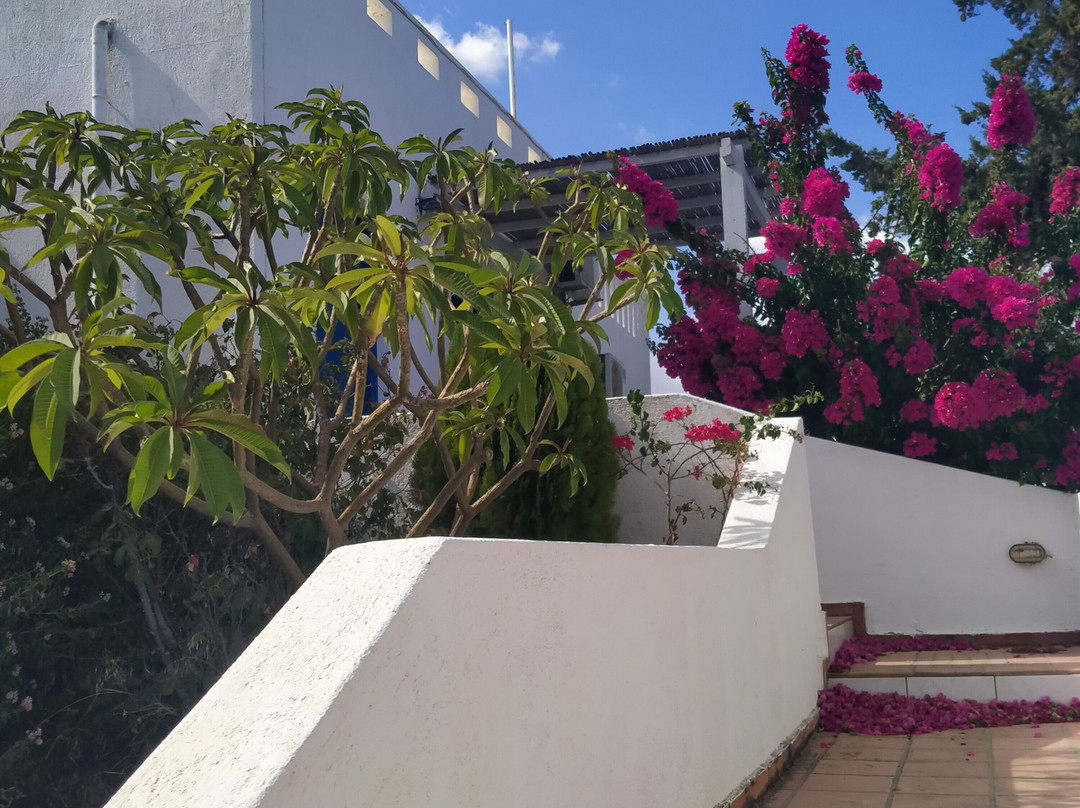 Residence Gerani主图